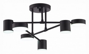 Потолочная люстра EVOLUCE Nobel SLE201042-06 в Тюмени - tumen.mebel24.online | фото 5