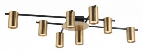 Потолочная люстра Favourite Topper 2827-8P в Тюмени - tumen.mebel24.online | фото 2