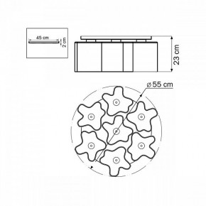 Потолочная люстра Lightstar Nubi 802070 в Тюмени - tumen.mebel24.online | фото 6