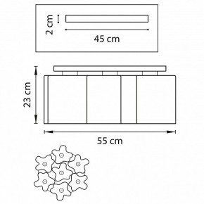 Потолочная люстра Lightstar Nubi 802073 в Тюмени - tumen.mebel24.online | фото 2