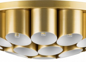 Потолочная люстра Lightstar Siena 720222 в Тюмени - tumen.mebel24.online | фото 3