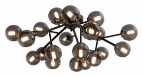 Потолочная люстра Maytoni Dallas MOD545CL-20B в Тюмени - tumen.mebel24.online | фото 2
