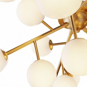 Потолочная люстра Maytoni Dallas MOD545CL-20BS в Тюмени - tumen.mebel24.online | фото 2
