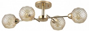 Потолочная люстра Rivoli Amalia Б0050815 в Тюмени - tumen.mebel24.online | фото