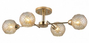 Потолочная люстра Rivoli Amalia Б0050815 в Тюмени - tumen.mebel24.online | фото 3
