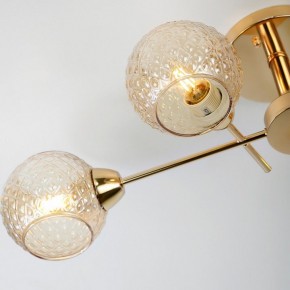 Потолочная люстра Rivoli Amalia Б0050815 в Тюмени - tumen.mebel24.online | фото 8