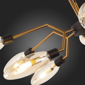 Потолочная люстра ST-Luce Desima SL1174.303.12 в Тюмени - tumen.mebel24.online | фото 10