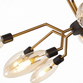 Потолочная люстра ST-Luce Desima SL1174.303.12 в Тюмени - tumen.mebel24.online | фото 11