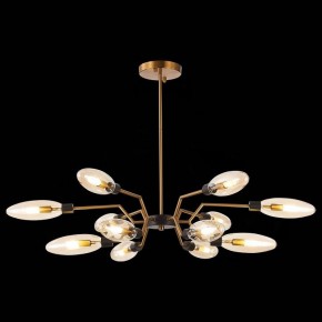 Потолочная люстра ST-Luce Desima SL1174.303.12 в Тюмени - tumen.mebel24.online | фото 2