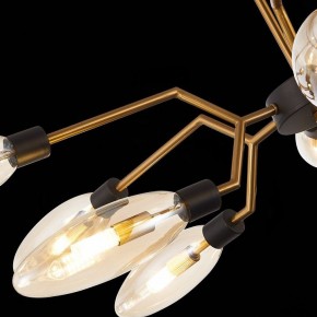 Потолочная люстра ST-Luce Desima SL1174.303.12 в Тюмени - tumen.mebel24.online | фото 9