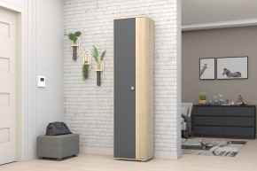 Прихожая Монако-2 (Дуб Сонома/Графит) в Тюмени - tumen.mebel24.online | фото 11