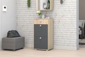 Прихожая Монако-2 (Дуб Сонома/Графит) в Тюмени - tumen.mebel24.online | фото 8