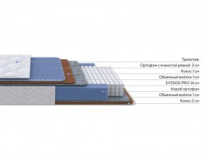 PROxSON Матрас Active Duo M/F (Ткань Трикотаж Эко) 90x195 в Тюмени - tumen.mebel24.online | фото 2
