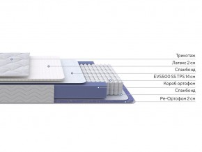 PROxSON Матрас Active Duo S/F (Ткань Трикотаж Эко) 120x195 в Тюмени - tumen.mebel24.online | фото 2