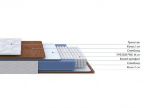 PROxSON Матрас Active F Roll (Ткань Трикотаж Эко) 80x195 в Тюмени - tumen.mebel24.online | фото 2