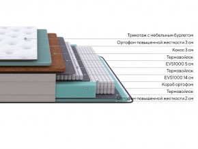 PROxSON Матрас Elysium Firm (Трикотаж Spiral-RT) 160x200 в Тюмени - tumen.mebel24.online | фото 2