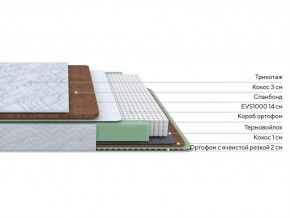 PROxSON Матрас Green Duo M/F (Tricotage Dream) 140x195 в Тюмени - tumen.mebel24.online | фото 2