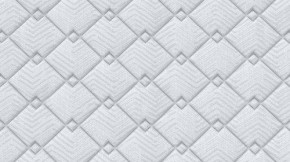 PROxSON Матрас Standart Plus M (Ткань Жаккард) 120x195 в Тюмени - tumen.mebel24.online | фото 9