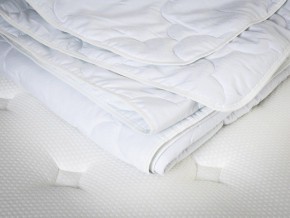 PROxSON Одеяло лёгкое PROSON (Стеганное полотно) 172x200 в Тюмени - tumen.mebel24.online | фото 5