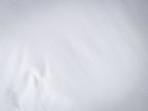 PROxSON Подушка Terra Duo (Сатин Ткань) 50x70 в Тюмени - tumen.mebel24.online | фото 9