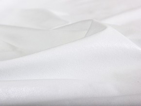 PROxSON Защитный чехол Aqua Save M (Ткань влагостойкая Terry Cloth) 80x200 в Тюмени - tumen.mebel24.online | фото 6