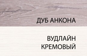 Шкаф 1DZ, OLIVIA, цвет вудлайн крем/дуб анкона в Тюмени - tumen.mebel24.online | фото 3