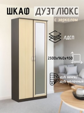 Шкаф 2-х створчатый Дуэт Люкс с зеркалом в Тюмени - tumen.mebel24.online | фото 1