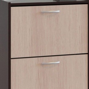 Шкаф для обуви ТО-24 в Тюмени - tumen.mebel24.online | фото 4