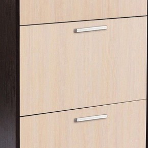 Шкаф для обуви УК-4 в Тюмени - tumen.mebel24.online | фото 2