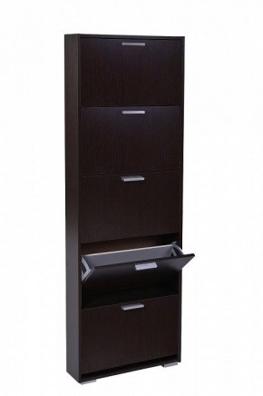 Шкаф для обуви УК-5 10000130 в Тюмени - tumen.mebel24.online | фото