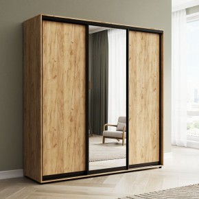 Шкаф-купе Акцент-Сим ДЗ 2400-600 в Тюмени - tumen.mebel24.online | фото 4