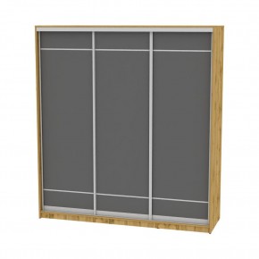 Шкаф-купе B-220х200х60-2 "Белла" в Тюмени - tumen.mebel24.online | фото 19