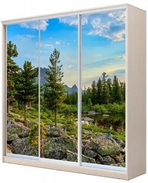 Шкаф-купе ХИТ 22-20-777 ПРИРОДА в Тюмени - tumen.mebel24.online | фото