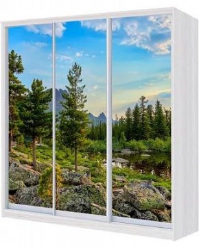Шкаф-купе ХИТ 22-4-20-777 ПРИРОДА в Тюмени - tumen.mebel24.online | фото