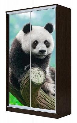 Шкаф-купе ХИТ 23-15-77 ПАНДА в Тюмени - tumen.mebel24.online | фото