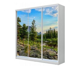 Шкаф-купе ХИТ 23-4-20-777 (420) в Тюмени - tumen.mebel24.online | фото 1