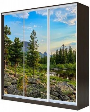 Шкаф-купе ХИТ 23-4-20-777 ПРИРОДА в Тюмени - tumen.mebel24.online | фото