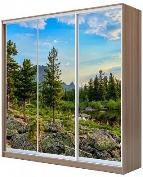 Шкаф-купе ХИТ 24-20/2-777 ПРИРОДА в Тюмени - tumen.mebel24.online | фото