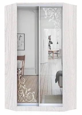 Шкаф-купе ХИТ-У-24-4-66 ОРНАМЕНТ в Тюмени - tumen.mebel24.online | фото