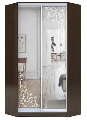 Шкаф-купе ХИТ-У-R-23-64-66 ОРНАМЕНТ в Тюмени - tumen.mebel24.online | фото