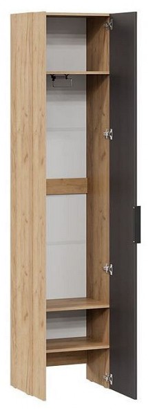 Шкаф платяной Асти в Тюмени - tumen.mebel24.online | фото 2