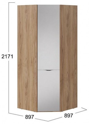 Шкаф платяной Глосс СМ-319.07.312 в Тюмени - tumen.mebel24.online | фото 4