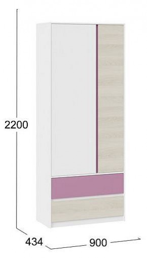 Шкаф платяной Сканди в Тюмени - tumen.mebel24.online | фото 5