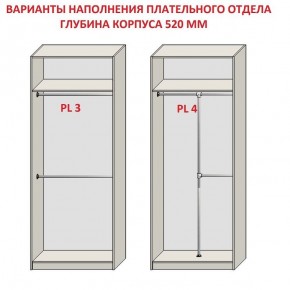 Шкаф распашной серия «ЗЕВС» (PL3/С1/PL2) в Тюмени - tumen.mebel24.online | фото 10