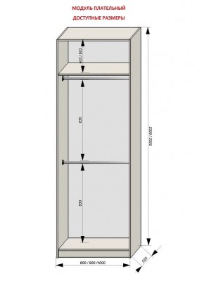 Шкаф распашной серия «ЗЕВС» (PL3/С1/PL2) в Тюмени - tumen.mebel24.online | фото 12