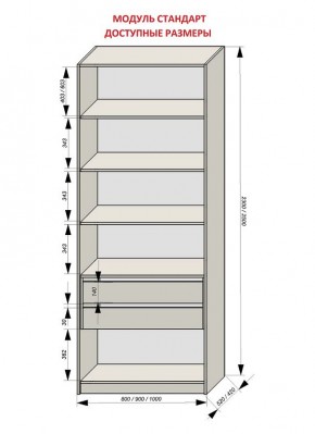 Шкаф распашной серия «ЗЕВС» (PL3/С1/PL2) в Тюмени - tumen.mebel24.online | фото 13