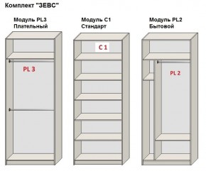 Шкаф распашной серия «ЗЕВС» (PL3/С1/PL2) в Тюмени - tumen.mebel24.online | фото 2