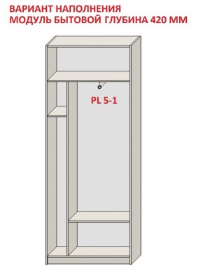 Шкаф распашной серия «ЗЕВС» (PL3/С1/PL2) в Тюмени - tumen.mebel24.online | фото 4