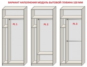 Шкаф распашной серия «ЗЕВС» (PL3/С1/PL2) в Тюмени - tumen.mebel24.online | фото 5