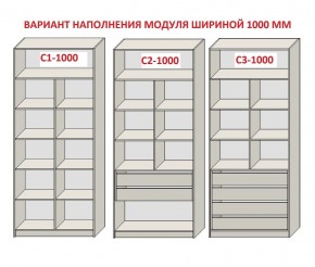 Шкаф распашной серия «ЗЕВС» (PL3/С1/PL2) в Тюмени - tumen.mebel24.online | фото 7